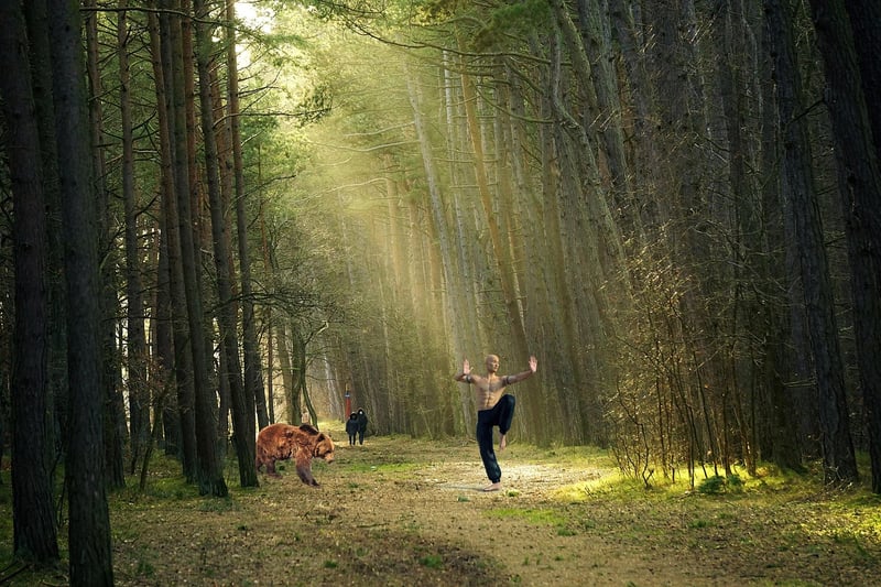 Chen Style Martial Arts